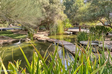 5747 E Mockingbird Ln, Paradise Valley, AZ 85253 - photo 6