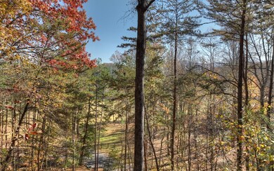 Additional View