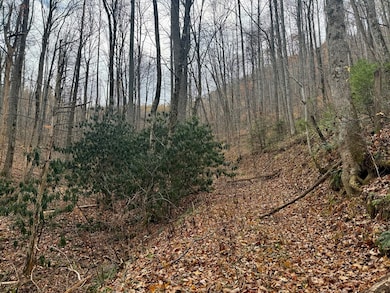 0 Henry Rd unit 26042658, Ellijay, NC 28734 - photo 3