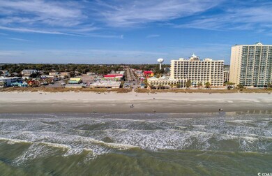 1347 Crested Iris Way unit (Phase 4 Lot 352), Atlantic Beach, SC 29582 - photo 4