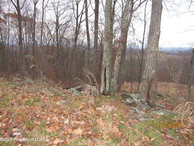 115 Manorview Dr, Dallas Township, PA 18612 - photo 2