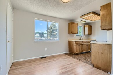 4045 E 118th Ave, Thornton, CO 80233 - photo 6