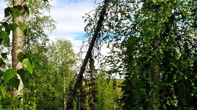 View from knoll on upper pad