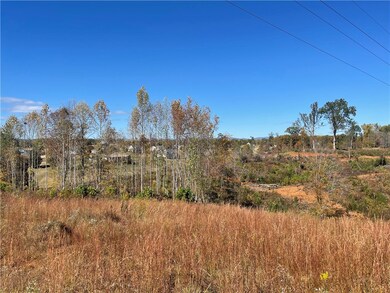 361 Springbrook Rd, Walhalla, SC 29691 - photo 6