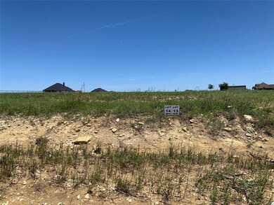 308 El Pescado Ct, Godley, TX 76044 - photo 2