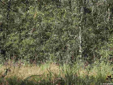 TBD Spring Dr, Middleburg, FL 32068 - photo 4
