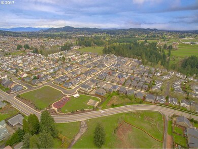 Community Park