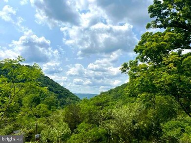 0 Proctor Rd unit WVHS2003342, Purgitsville, WV 26852 - photo 2