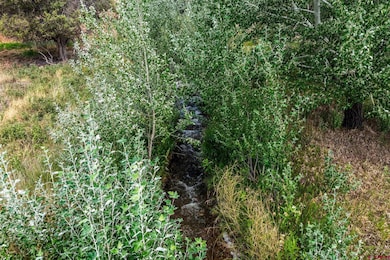 79 Cedar Cir, Durango, CO 81303 - photo 6