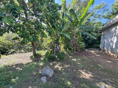 calle 1 Colinas de Vista Alegre unit X-13, Bayamón, PR 00956 - photo 5