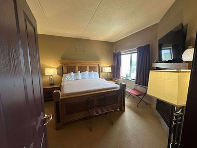 Dells Condominium unit 2644, Wisconsin Dells, WI 53965 - photo 3