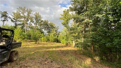 TBD Scout Rd, Lenoir, NC 28645 - photo 5