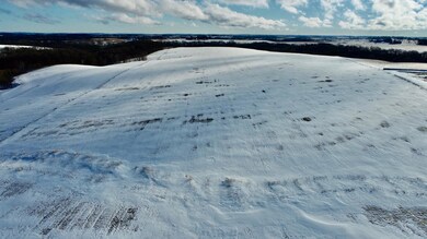 xxx County 12, Wiscoy Township, MN 55987 - photo 6