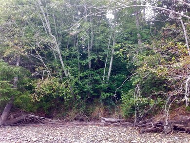 560 E Stretch Island Rd S, Allyn-Grapeview, WA 98546 - photo 3