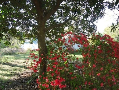 5264 Ga Highway 41 N, Mauk, GA 31058 - photo 6