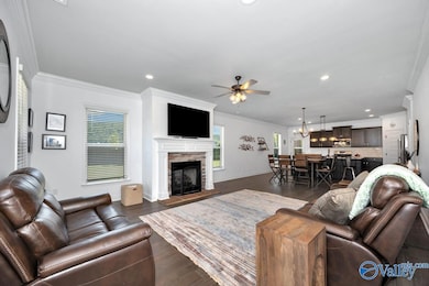 9001 Mountain Preserve Blvd, Gurley, AL 35748 - photo 7