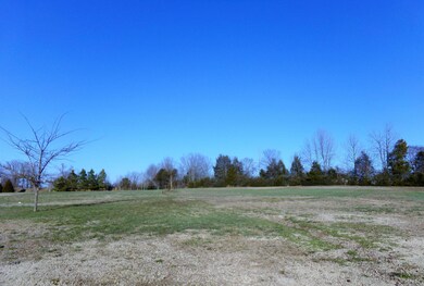 KODAK Digital Still Camera