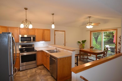 544 6th St SW, Pine Island, MN 55963 - photo 4