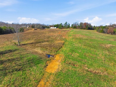 0 Millshed Rd unit RA20256885, Morgantown, KY 42261 - photo 6