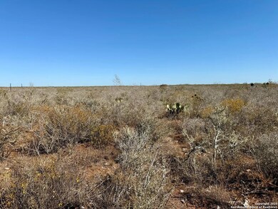 0 County Road 203 unit 1926966, San Jose, TX 78332 - photo 4