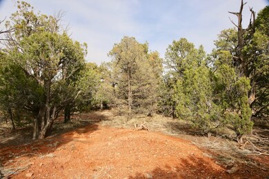 0 Cedar Creek Dr unit 224004, Aripine, AZ 85933 - photo 7
