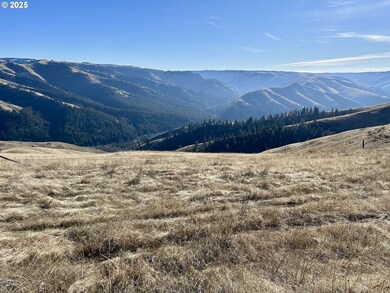 unlisted-address, Weston, OR 97886 - photo 4