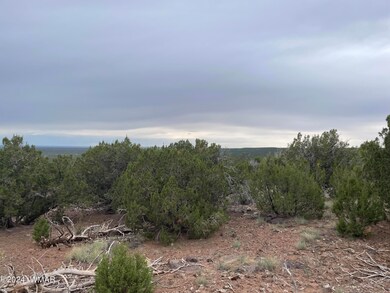 1 Cr 8117, Concho, AZ 85924 - photo 2