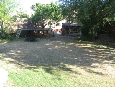 back yard