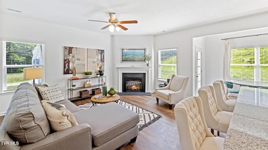 353 Alta Tree Blvd, Johnson City, TN 37604 - photo 5