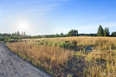 120 Brim Ridge Ln, Winlock, WA 98596 - photo 6