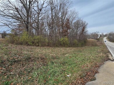0 Crescent Lake Rd unit MIS25079528, Saint Clair, MO 63077 - photo 4