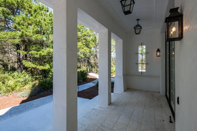 89 Featherbed Aly, Alys Beach, FL 32461 - photo 4