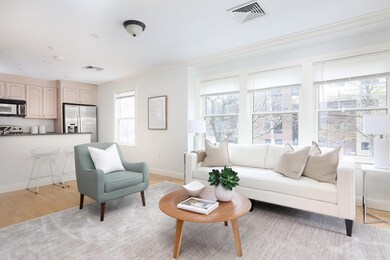 121 Centre St unit 201, Brookline, MA 02446 - photo 3