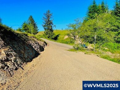 2840 NE Big Creek Rd, Newport, OR 97365 - photo 4