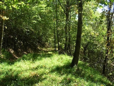 0 Highway 321, Blowing Rock, NC 28605 - photo 3