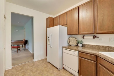 1129 Drury Ln, Aurora, IL 60502 - photo 7