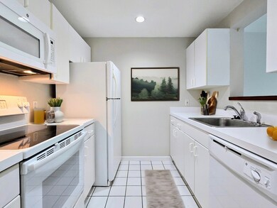 950 Mass Ave unit 402, Cambridge, MA 02139 - photo 4