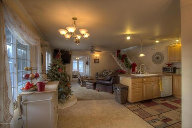 Main living area and kitchen