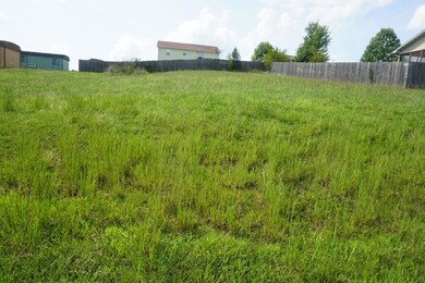 000 Jon Streeet, West Plains, MO 65775 - photo 6