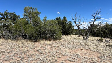 0 Warpath Rd unit 23912666, Quemado, NM 87829 - photo 6