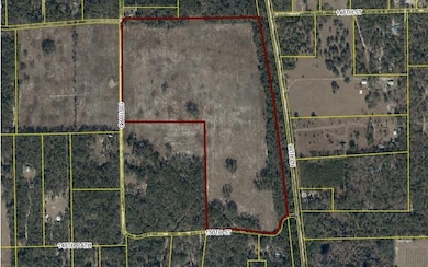 TBD Hawaca Dr, McAlpin, FL 32062 - photo 2