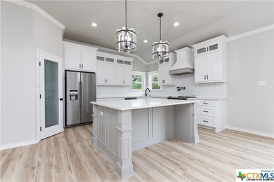 16172 Charlya Dr, Temple, TX 76502 - photo 3