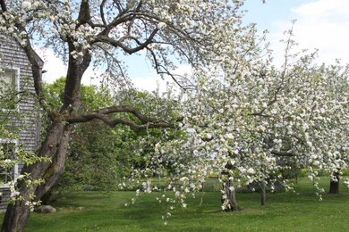 213 Riendeau Rd, Sutton, VT 05867 - photo 5