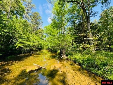 001-01112-000 Cr 127, Calico Rock, AR 72519 - photo 4