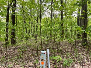 00 Ridge Run Rd unit Lot 227, Claysburg, PA 16625 - photo 5