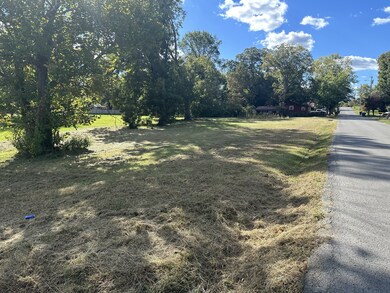 128 Lance St, McMinnville, TN 37110 - photo 4