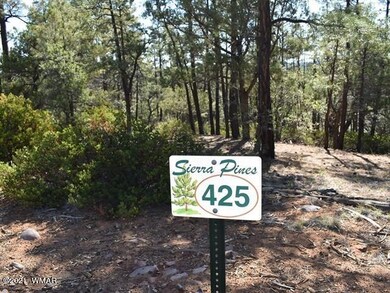 1675 S Pleasant View Dr, Show Low, AZ 85901 - photo 4