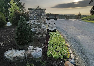 LOT 108 High River, Ellijay, GA 30540 - photo 3