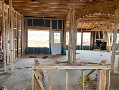 1248 County Road 4797, Boyd, TX 76023 - photo 3