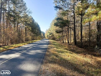 0 Pocket Rd, Lafayette, GA 30728 - photo 3